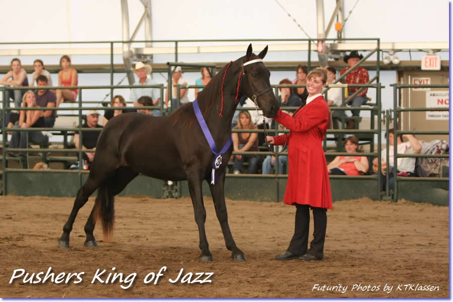 Melanie with Morley Holman entry, Pushers King of Jazz. Weanling colt champion and weanling championship winner